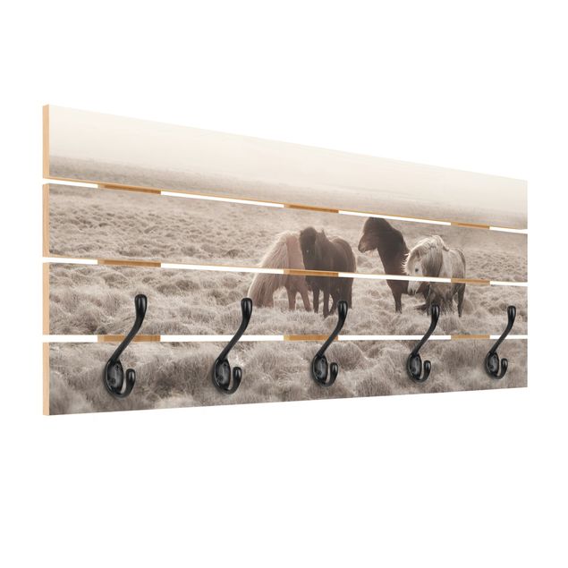 Wall mounted coat rack Wild Icelandic Horse