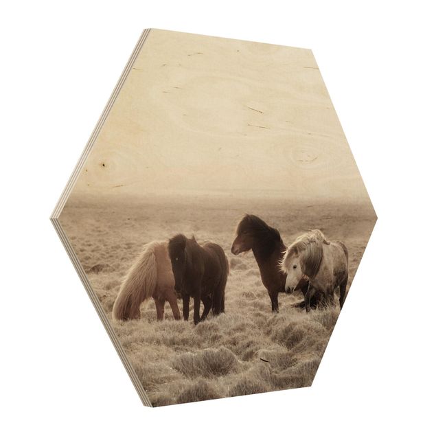 Contemporary art prints Wild Icelandic Horse