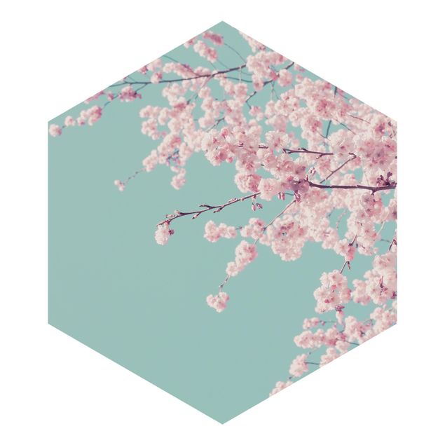 Monika Strigel Art prints Japanese Cherry Blossoms