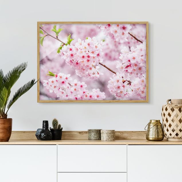Asian prints Japanese Cherry Blossoms