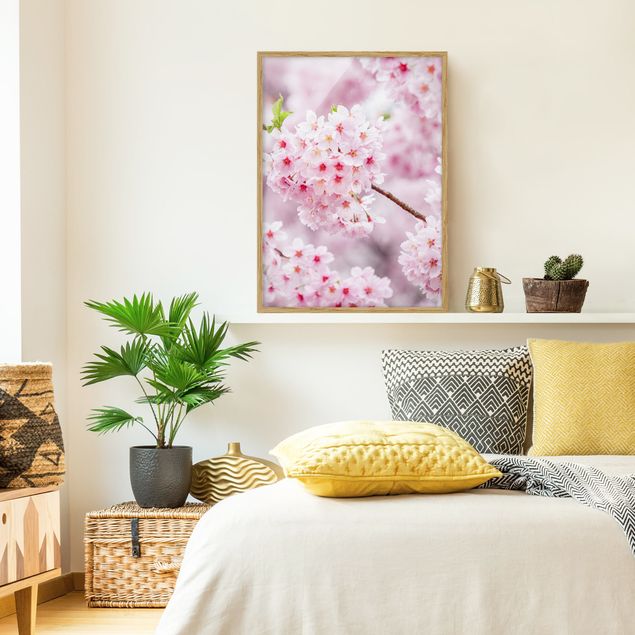 Floral canvas Japanese Cherry Blossoms