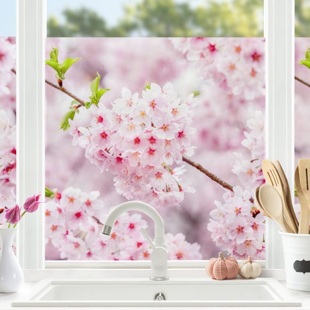 Flower stickers for glass Japanese Cherry Blossoms