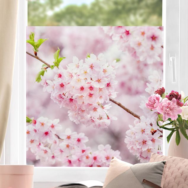 Self adhesive film Japanese Cherry Blossoms