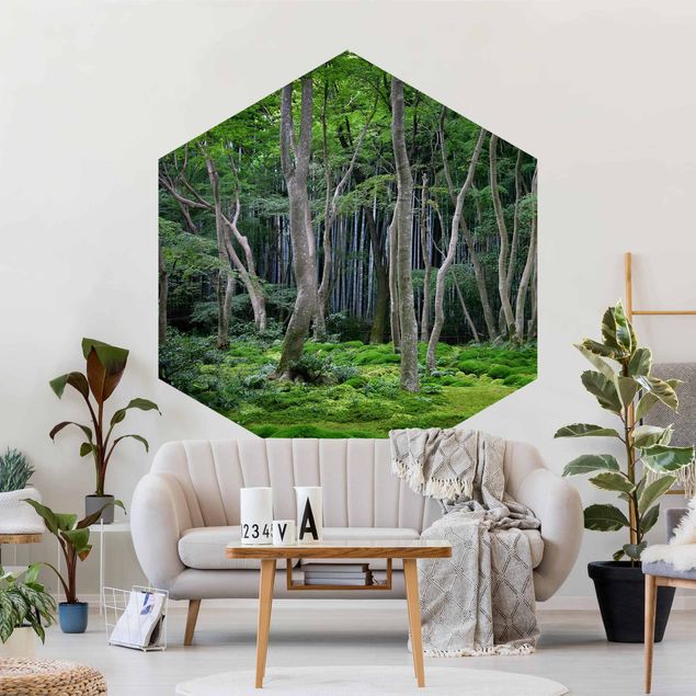 Wallpapers landscape Japanese Forest
