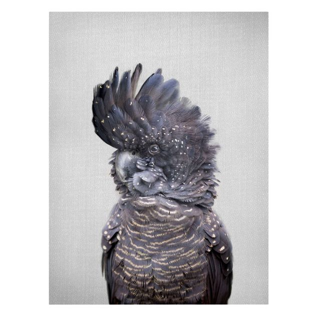 Contemporary art prints Cockatoo Kanye