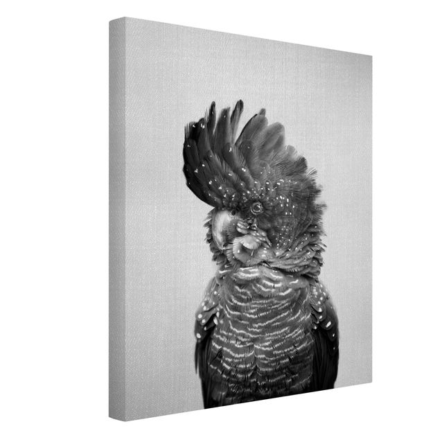 Animal wall art Cockatoo Kanye Black And White