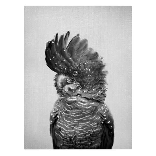 Contemporary art prints Cockatoo Kanye Black And White