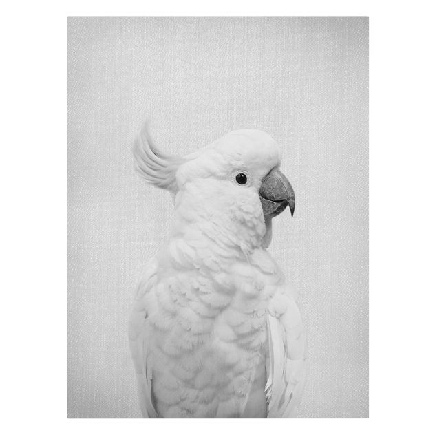 Modern art prints Cockatoo Kiki Black And White
