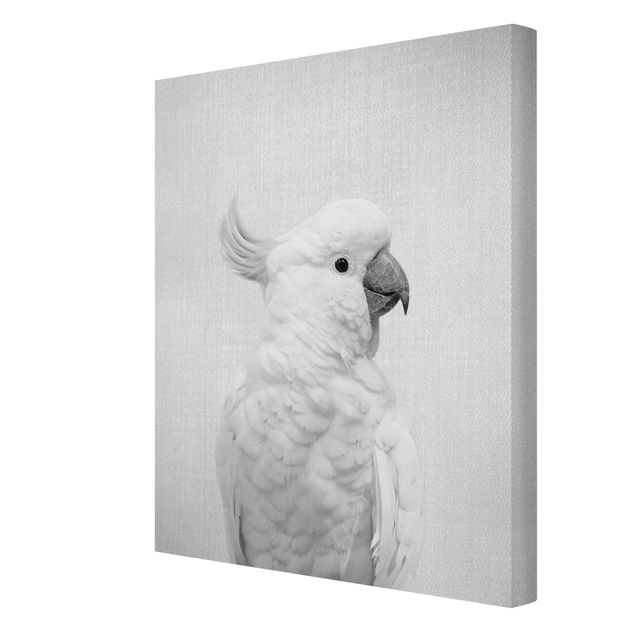 Prints black and white Cockatoo Kiki Black And White