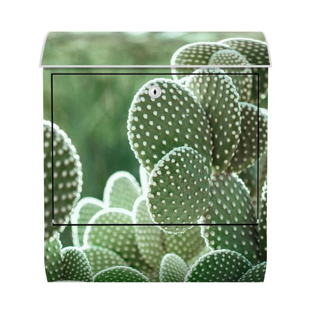 Green post box Cacti