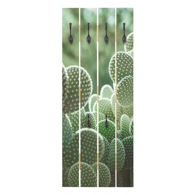 Wall coat hanger Cacti