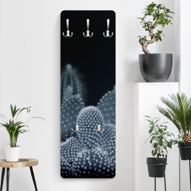 Wall mounted coat rack flower Familiy Of Cacti At Night