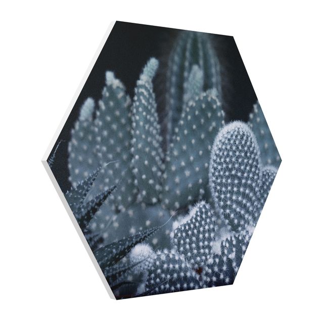 Prints flower Familiy Of Cacti At Night