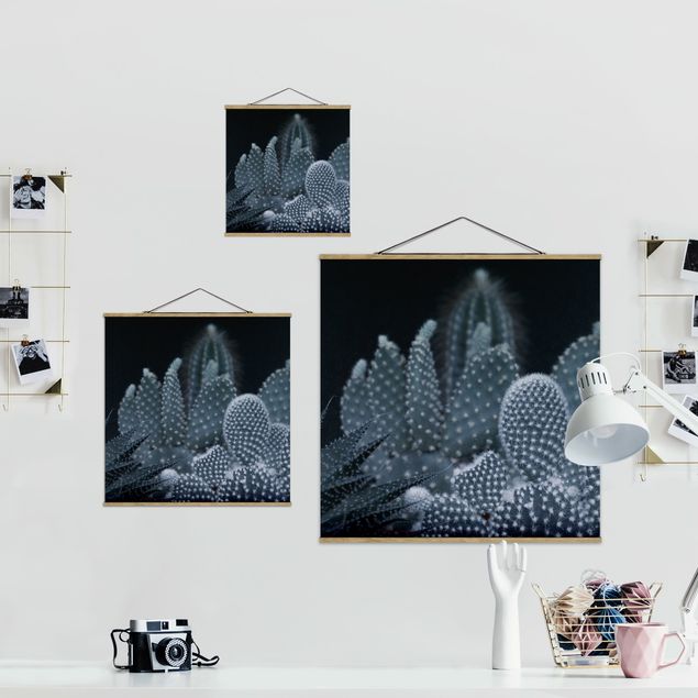 Monika Strigel Art prints Familiy Of Cacti At Night