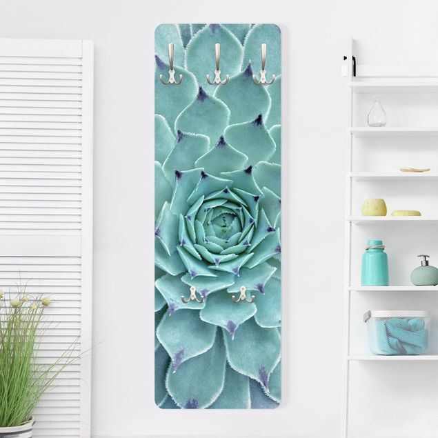 Wall mounted coat rack flower Cactus Agave