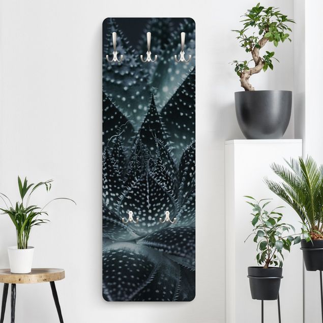 Wall mounted coat rack flower Cactus Drizzled With Starlight At Night