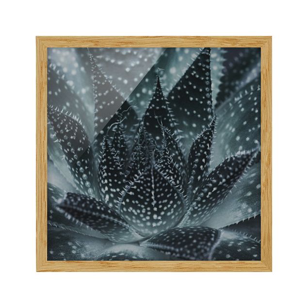 Flowers framed Cactus Drizzled With Starlight At Night