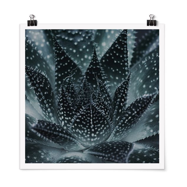 Prints modern Cactus Drizzled With Starlight At Night