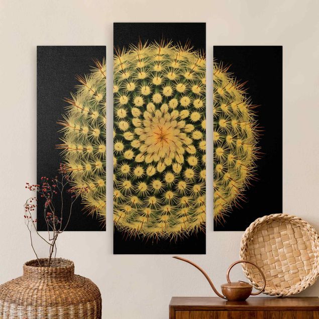 Black prints Cactus Flower