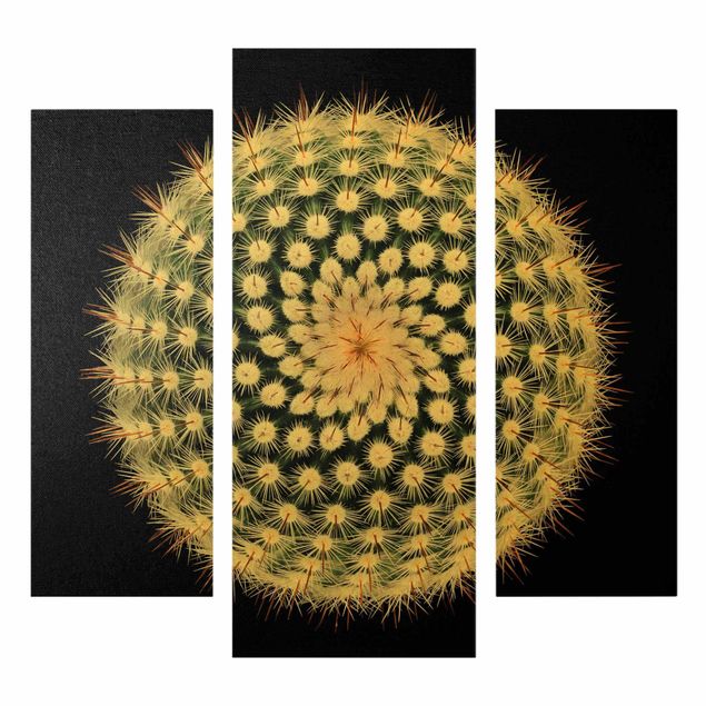 Prints Cactus Flower