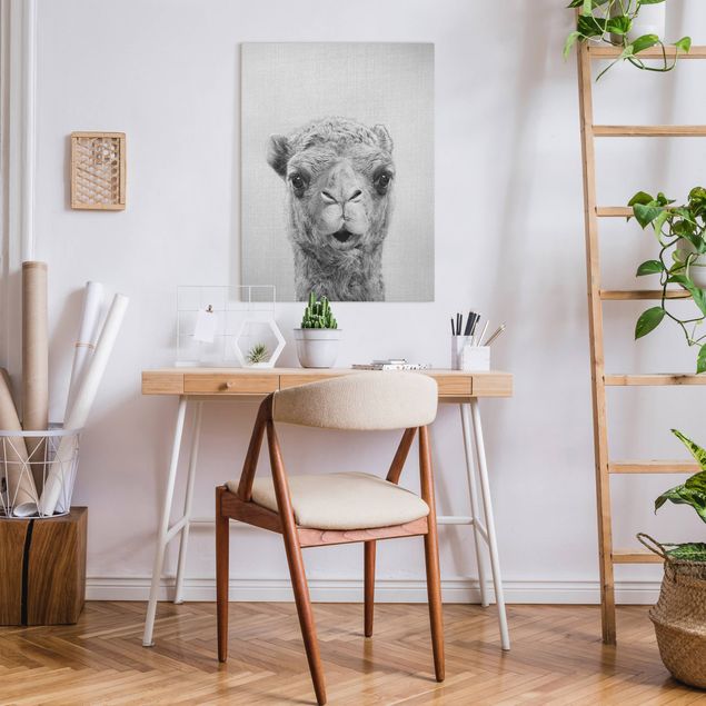 Animal canvas Camel Konrad Black And White