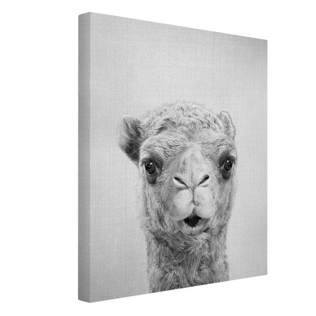 Prints modern Camel Konrad Black And White