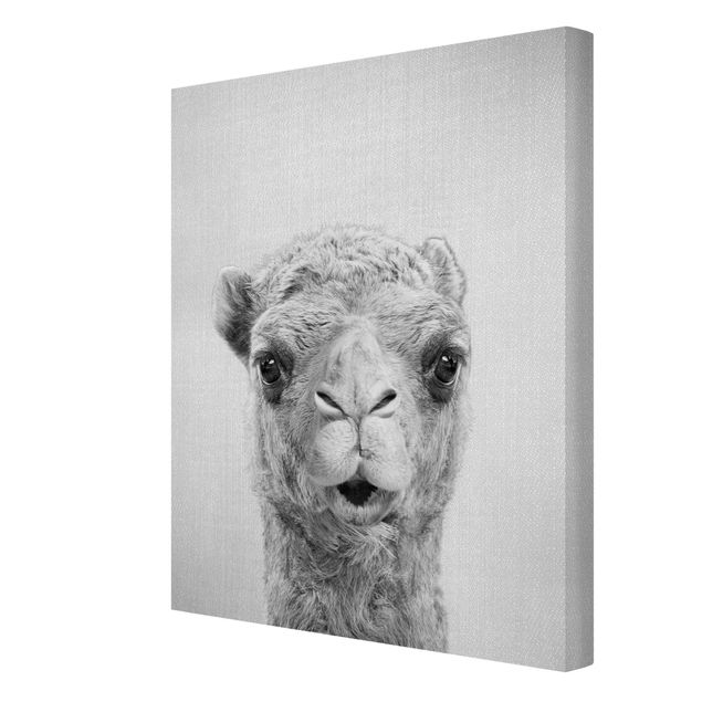 Gal Design prints Camel Konrad Black And White
