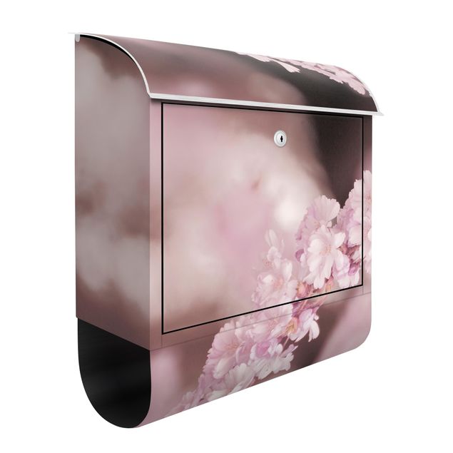 Letterboxes flower Cherry Blossoms In Purple Light