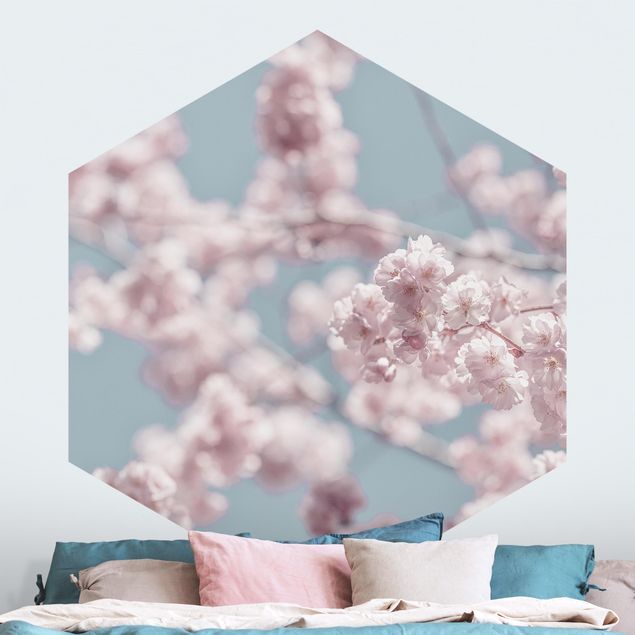 Wallpapers flower Cherry Blossom Party