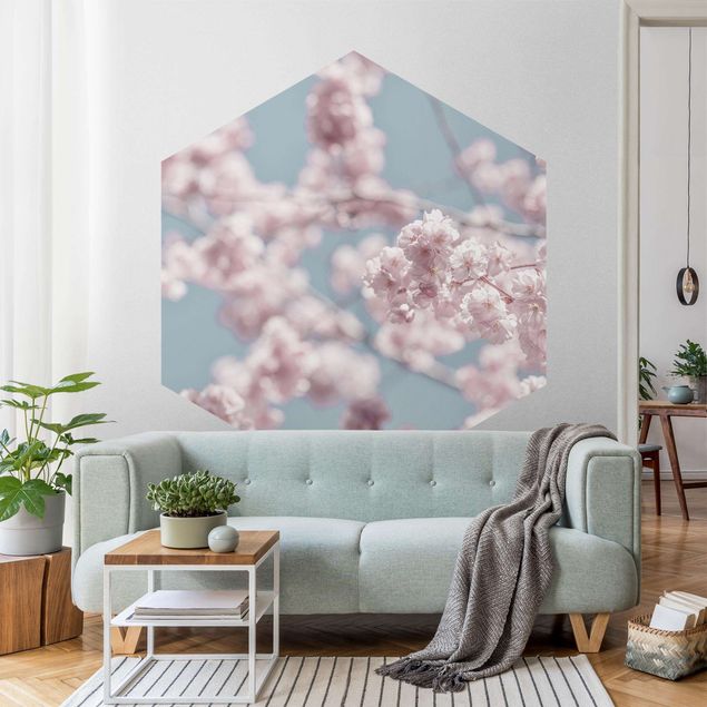 Wallpapers modern Cherry Blossom Party