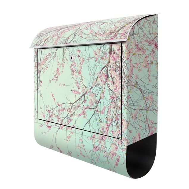 Letterboxes Cherry Blossom Yearning