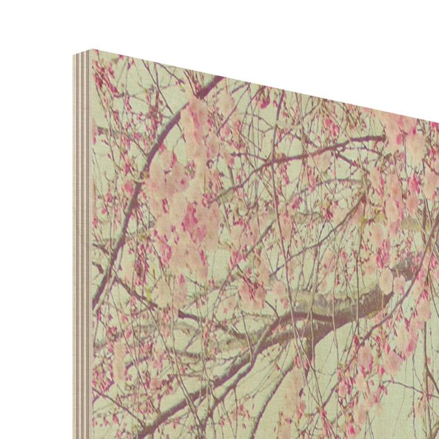 Wood photo prints Cherry Blossom Yearning