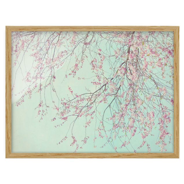 Flower pictures framed Cherry Blossom Yearning