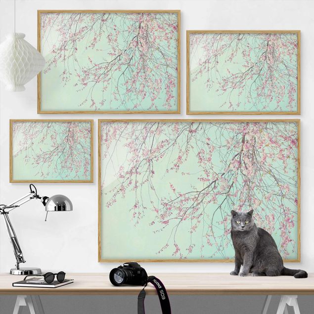 Turquoise canvas wall art Cherry Blossom Yearning