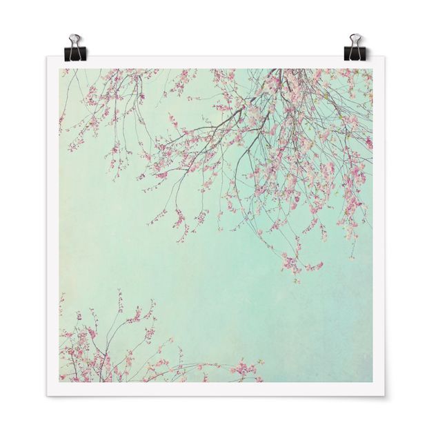 Contemporary art prints Cherry Blossom Yearning