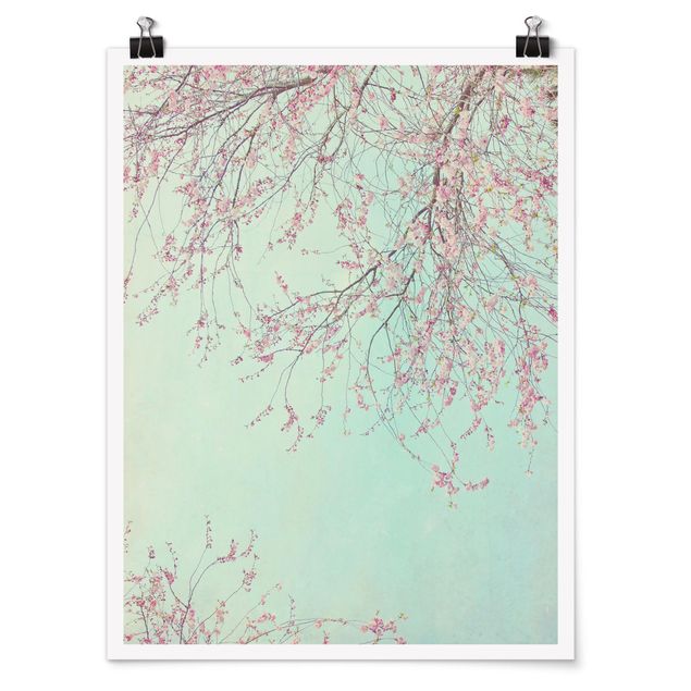 Contemporary art prints Cherry Blossom Yearning
