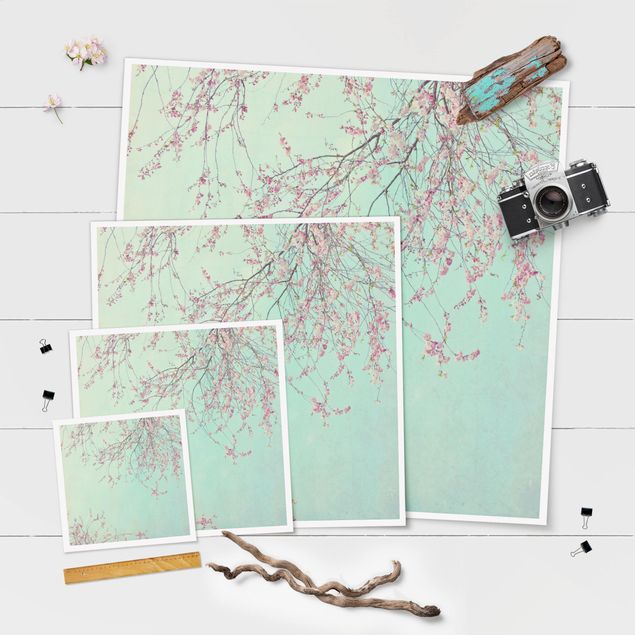 Poster print Cherry Blossom Yearning