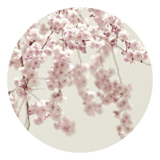 Peel and stick wallpaper Dancing Cherry Blossoms