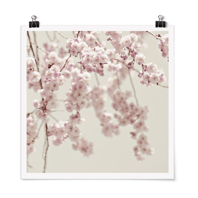 Modern art prints Dancing Cherry Blossoms
