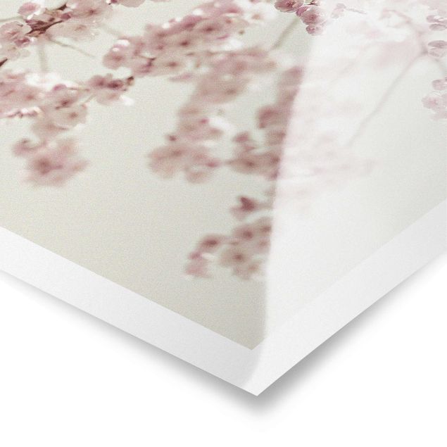 Prints Dancing Cherry Blossoms