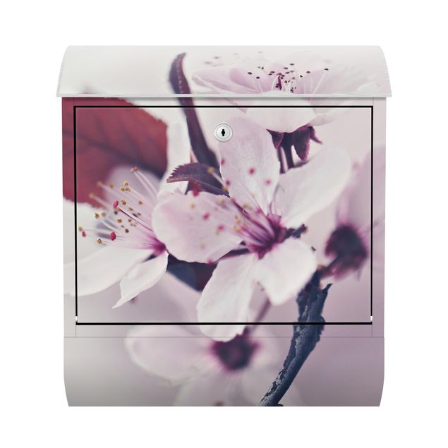 Letterboxes pink Cherry Blossom Branch Antique Pink
