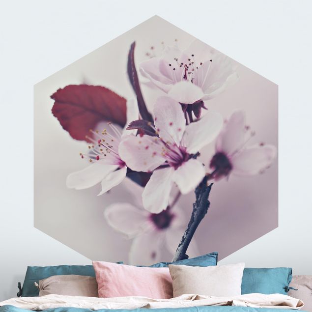 Wallpapers flower Cherry Blossom Branch Antique Pink