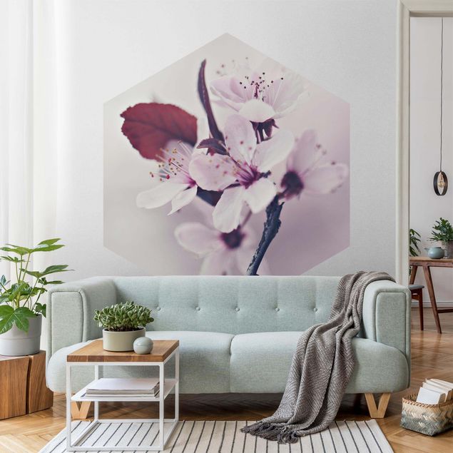 Modern wallpaper designs Cherry Blossom Branch Antique Pink