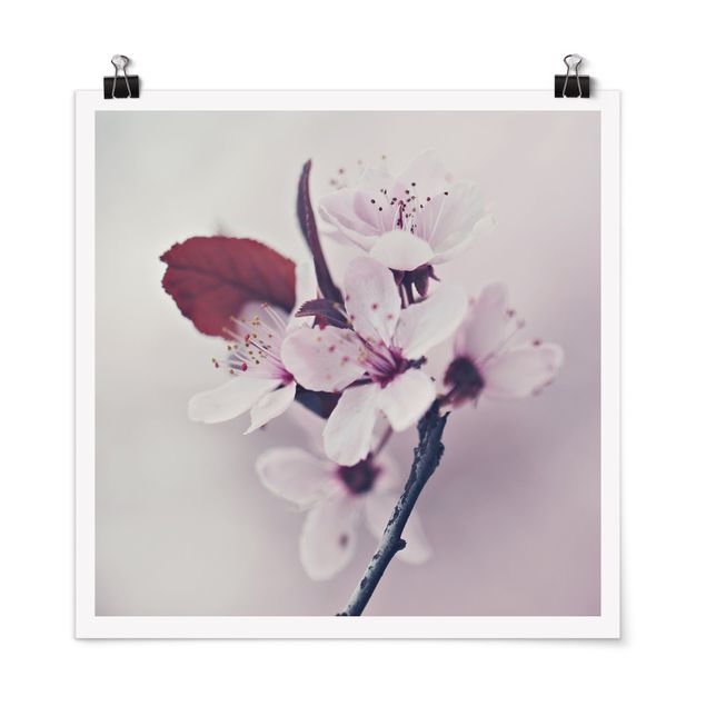 Contemporary art prints Cherry Blossom Branch Antique Pink