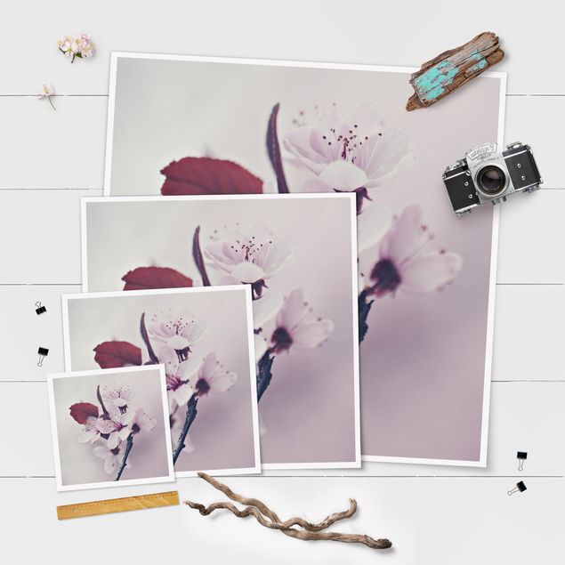Poster print Cherry Blossom Branch Antique Pink