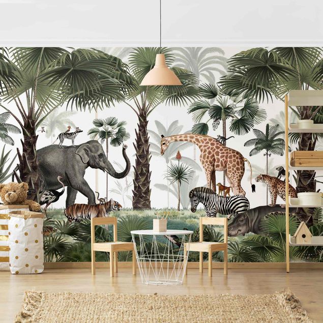 Wallpapers elefant Kingdom of the jungle animals