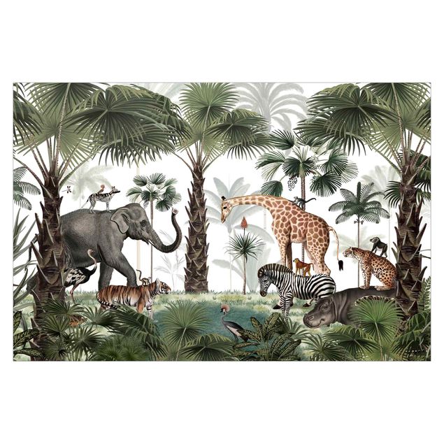 Wallpapers animals Kingdom of the jungle animals