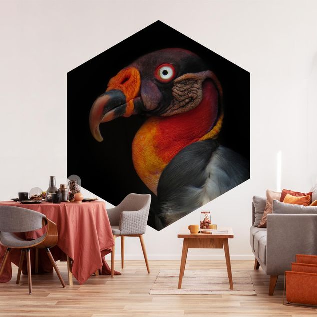 Wallpapers modern King Vulture In Front Of Black