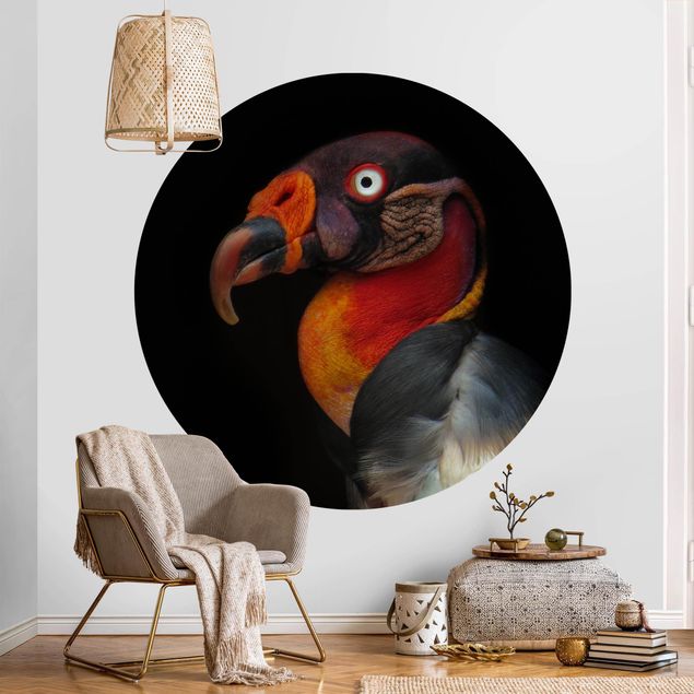 Wallpapers birds King Vulture In Front Of Black