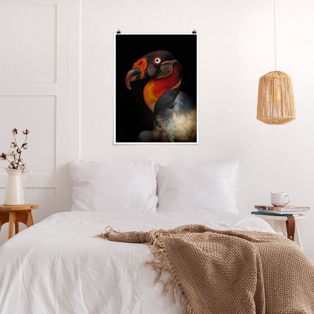Animal wall art King Vulture In Front Of Black